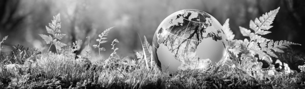 Globe on grass